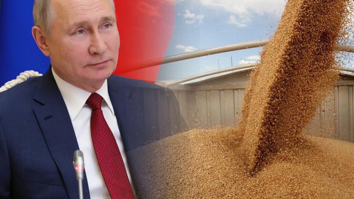 Владимир Путин В США оценили тактику Путина на рынке пшеницы