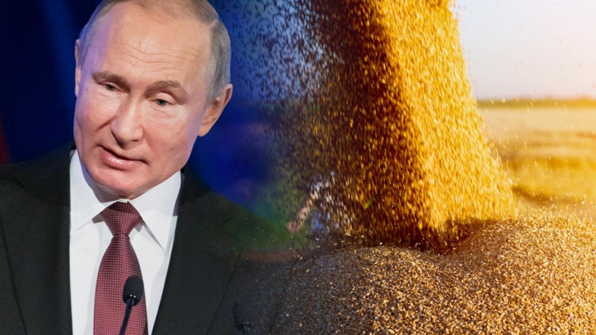 Владимир Путин Решение Путина по экспорту пшеницы вызвало резонанс на мировых рынках