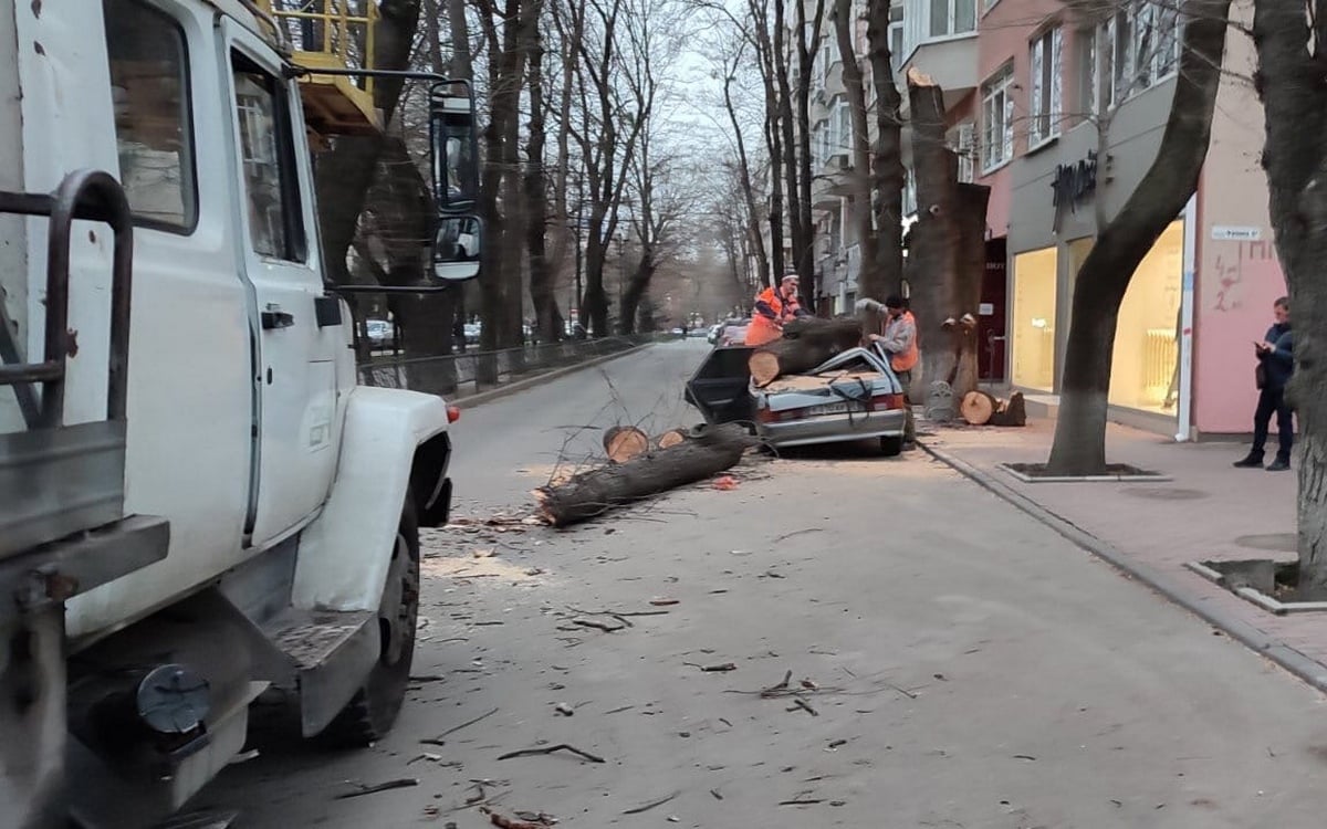 Ураган в крыму сегодня новости. Ураган в Симферополе. Ураган в Симферополе сегодня. Сильный ветер в Крыму сегодня. Ялта 30.11.2021 Ураганные хроники.