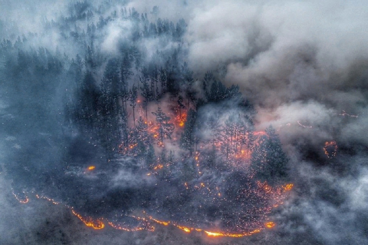 Воздух горит. Лесные пожары в Сибири 2019. Пожар леса в Сибири 2019. Сибирь горит 2019. Лесные пожары в Сибири 2019 из космоса.