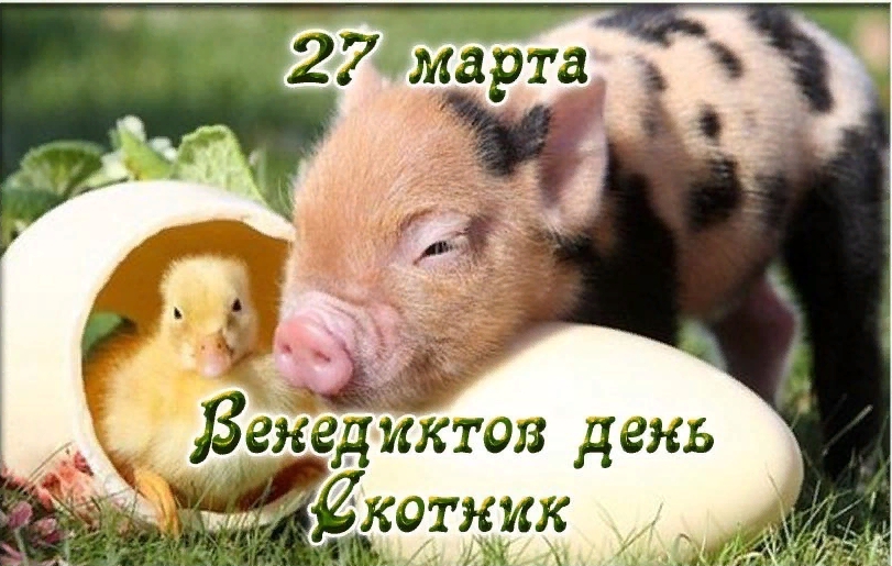 27 Марта Новый Год 27 Марта Новый Год