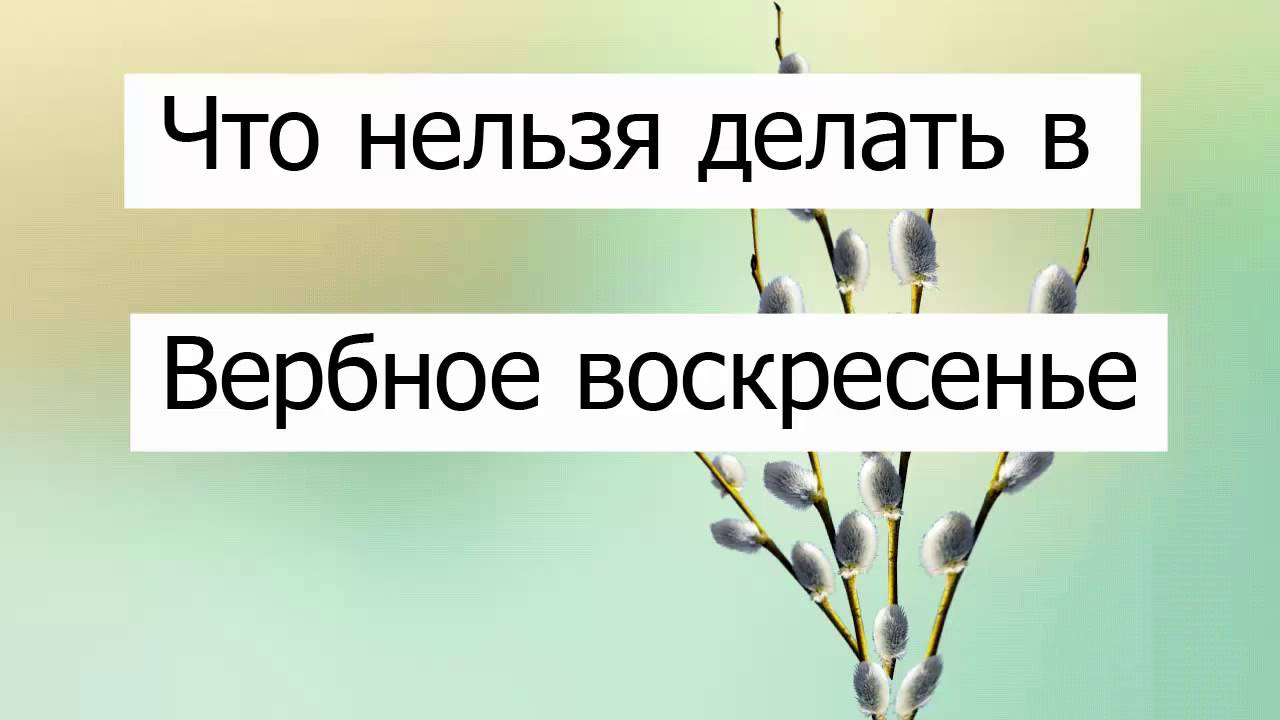 Где в воскресенье можно. Что нрльзя делать в Вербное Восск. Вербное воскресенье что нельзя делать. Чего нельзя делать в Вербное воскресенье. Что нельзя делать в воскресенье.