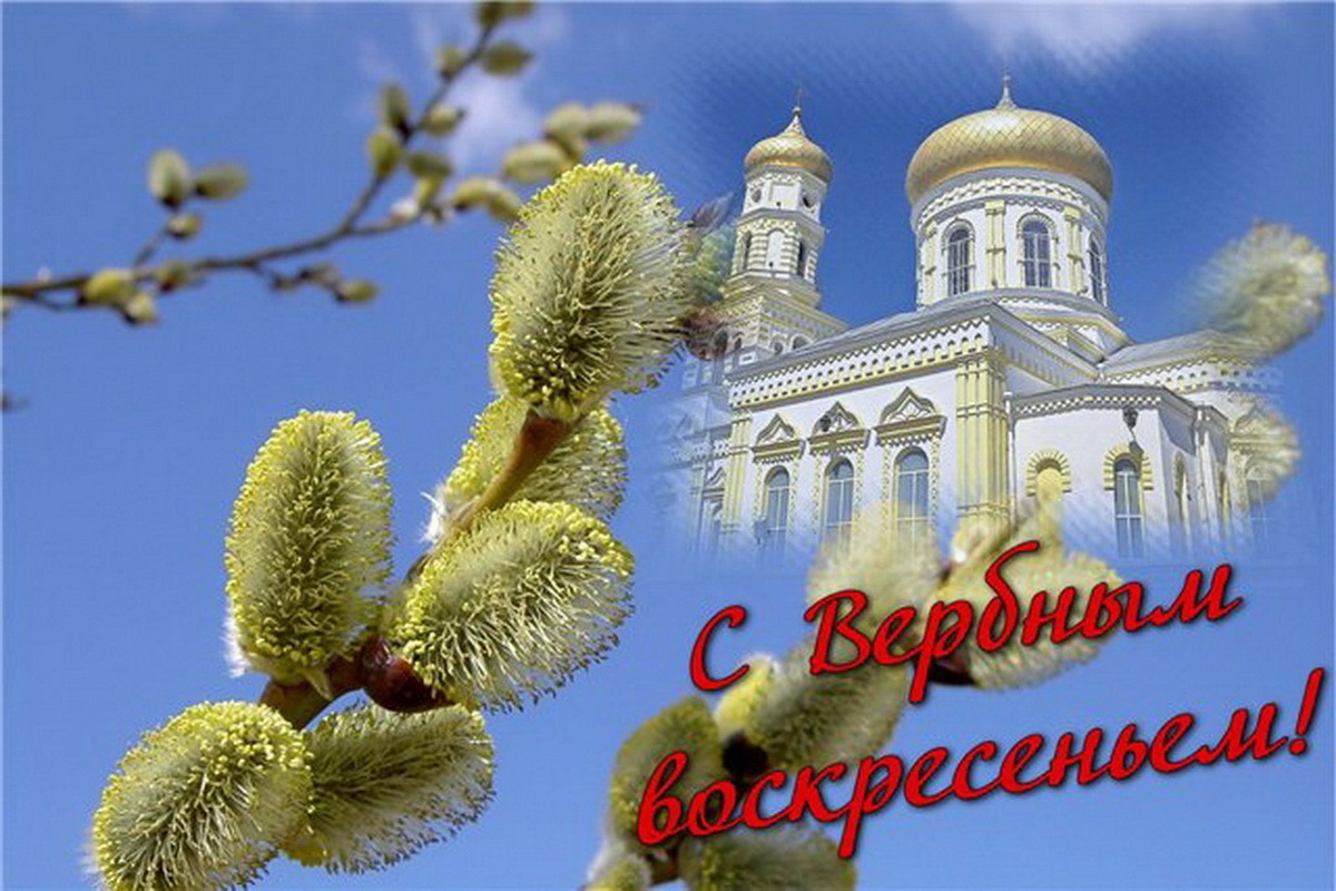 Верен день. С Вербным воскресеньем. С праздником Вербное воскресенье. С Вербным воскресеньем открытки. Поздравление с Вербным воскресеньем открытки.