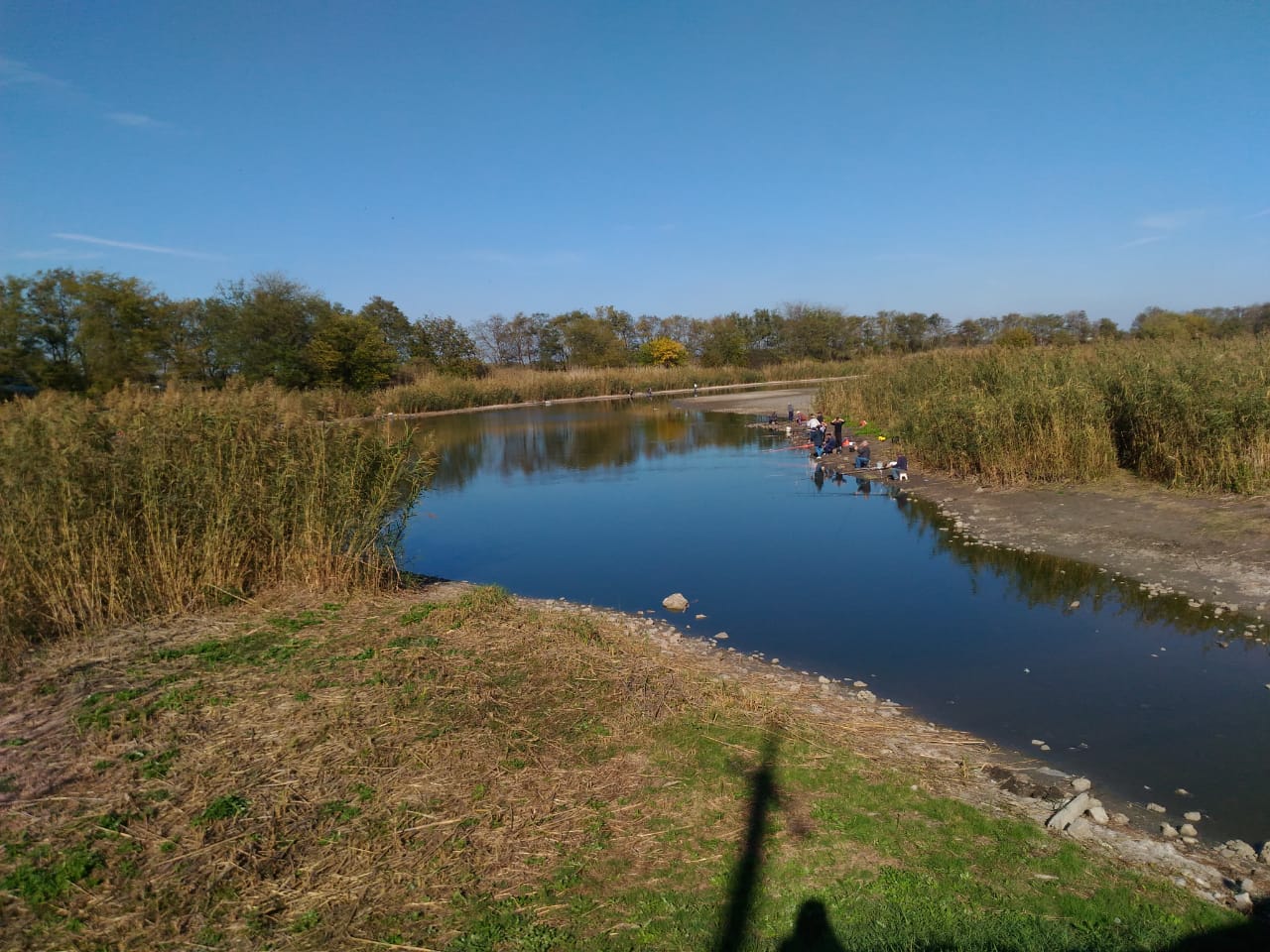В Тимашевском районе «под ноль» высыхают реки, власти хранят молчание