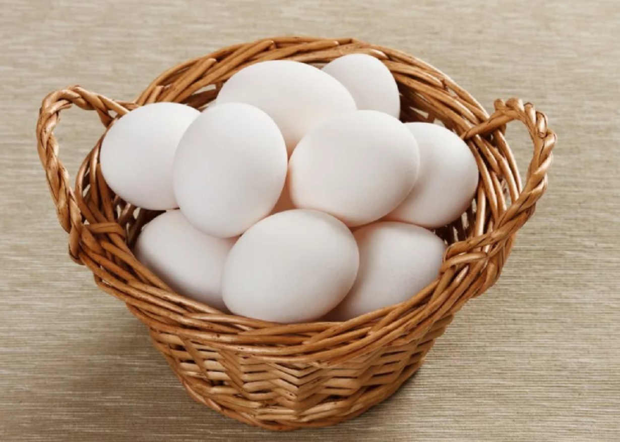 Яйцо картинка. Куриные яйца. Домашние яйца. Яйцо куриное белое. Яйца куриные домашние.