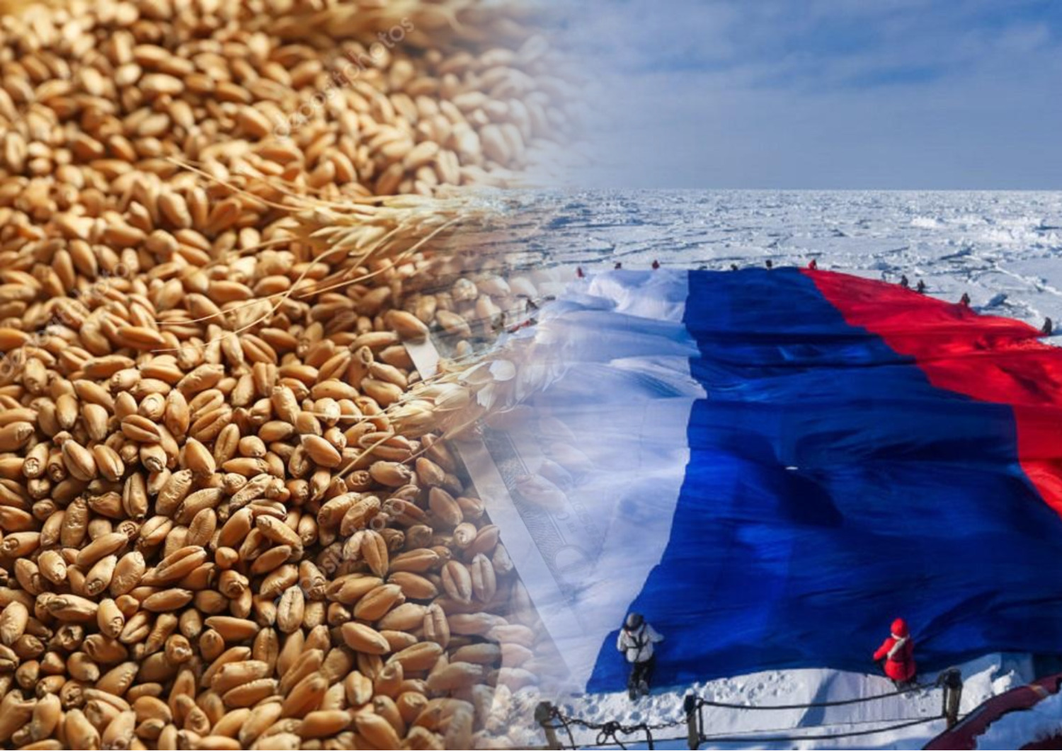 Agrarheute РФ хочет в Арктике собирать зерно и